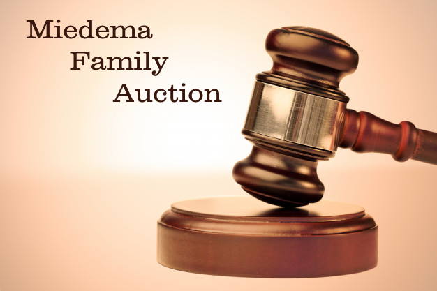 362- ONLINE ONLY AUCTION> Antiques/Collectables/Tools // PICKUP IS Monday-Saturday from 9:30-4:30 Pre -View is Available Monday-Saturday 9:30-4:30