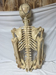 658958